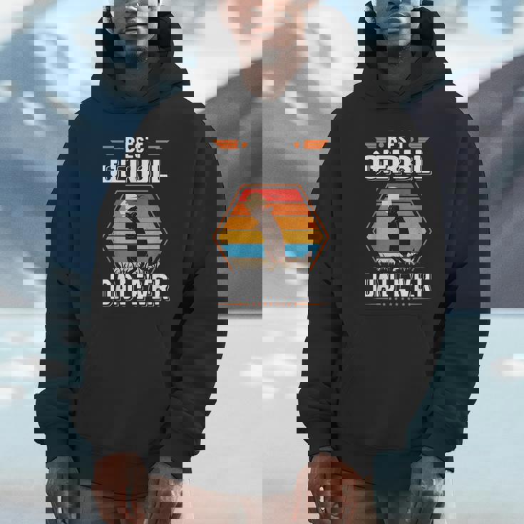 Best Gerbil Dad Ever Gerbil Father Racing Rat Unisex Hoodie