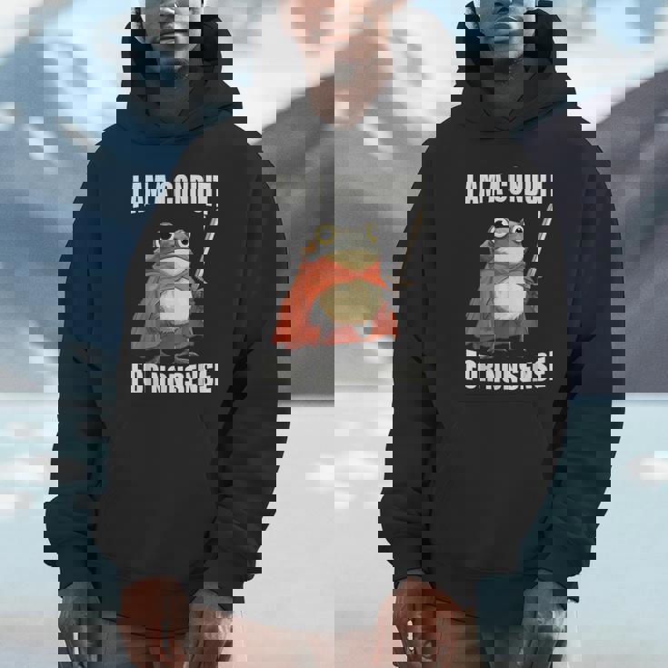 I Am A Conduit For Nonsense Frog With Sword Unisex Hoodie
