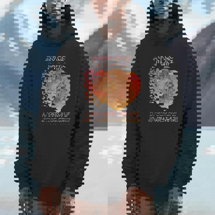 Every Once In A While A Vizsla Enters You Life Unisex Hoodie