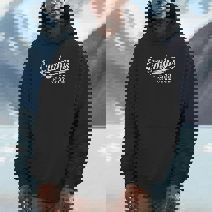 Grandpa 2020 New Grandfather Expecting Baby Unisex Hoodie