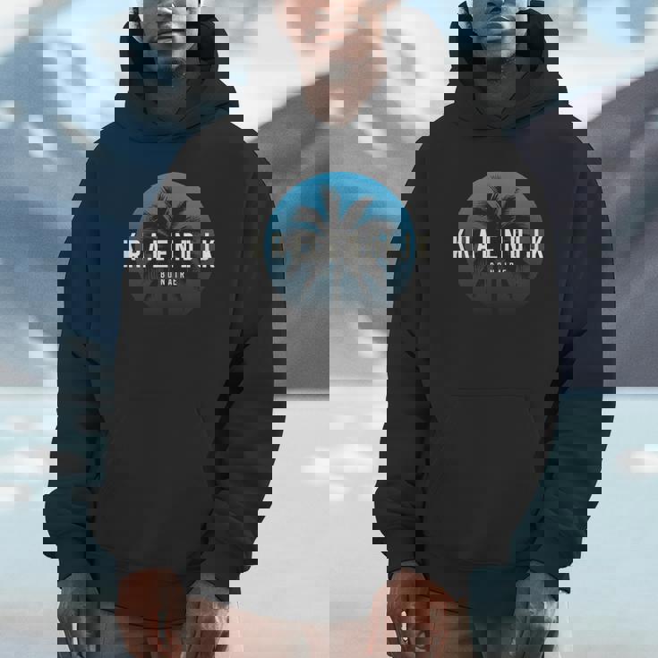 Kralendijk Vintage Palm Tree Beach Unisex Hoodie