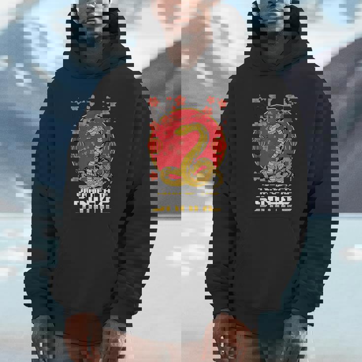 Chinese New Year 2025 Year Of The Snake 2025 Luna New Year Unisex Hoodie