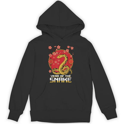 Chinese New Year 2025 Year Of The Snake 2025 Luna New Year Unisex Hoodie