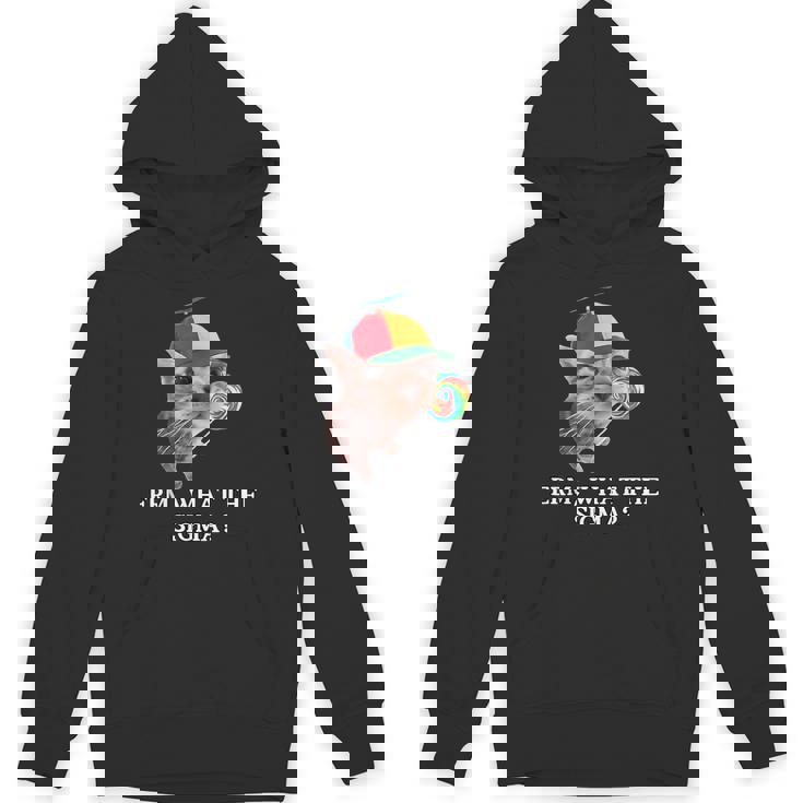 Erm What The Sigma Cat Candy Unisex Hoodie