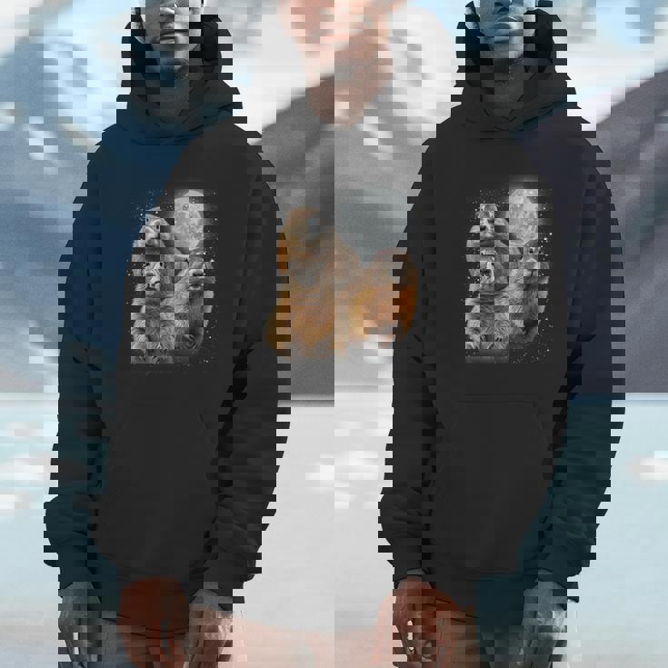 Three Groundhog Moon Groundhog Day 3 Groundhog Head Unisex Hoodie