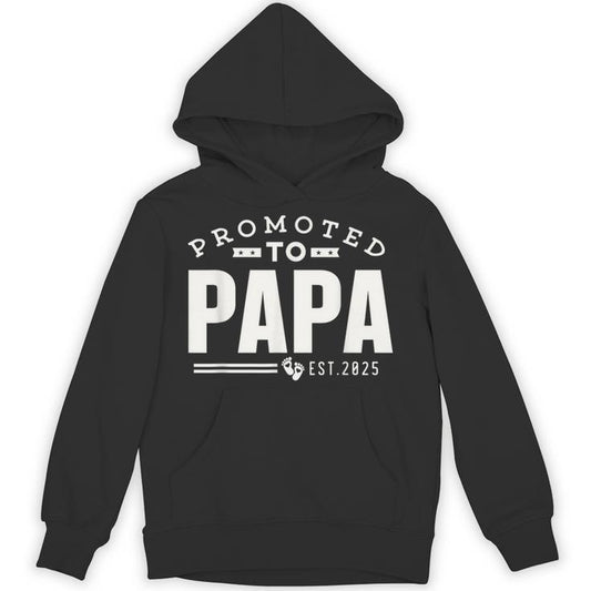 Promoted To Papa 2025 New 1St First Time Papa Dad Father Unisex Hoodie