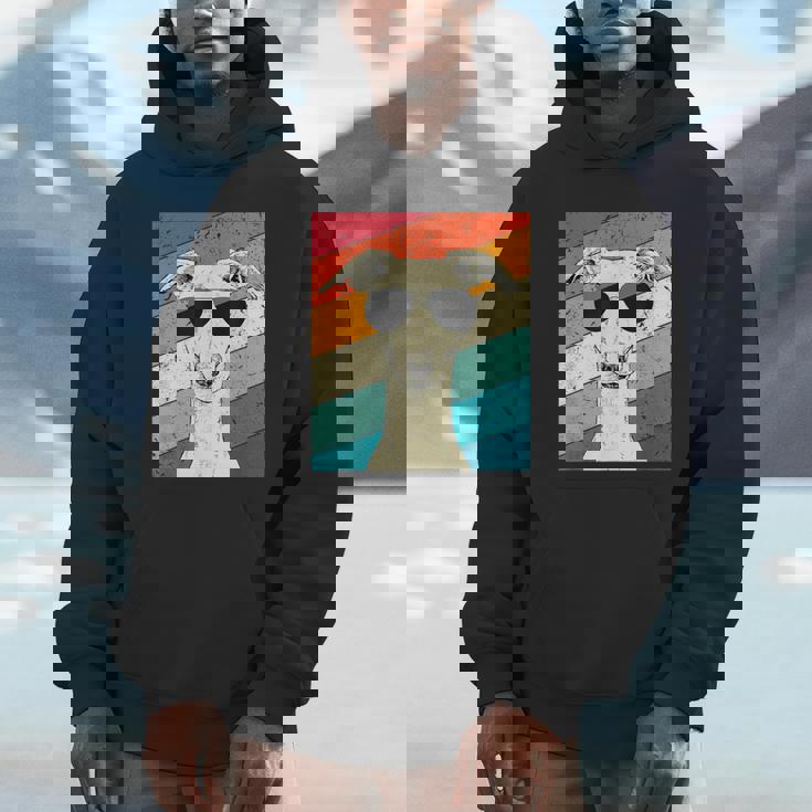 Retro Vintage Whippet With Sunglasses Dog Lovers Unisex Hoodie
